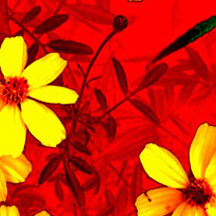 全能实用可靠的免费ddos压力测试平台